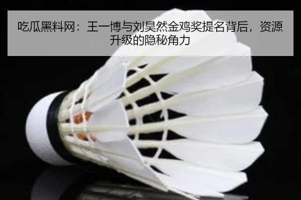 吃瓜黑料网：王一博与刘昊然金鸡奖提名背后，资源升级的隐秘角力